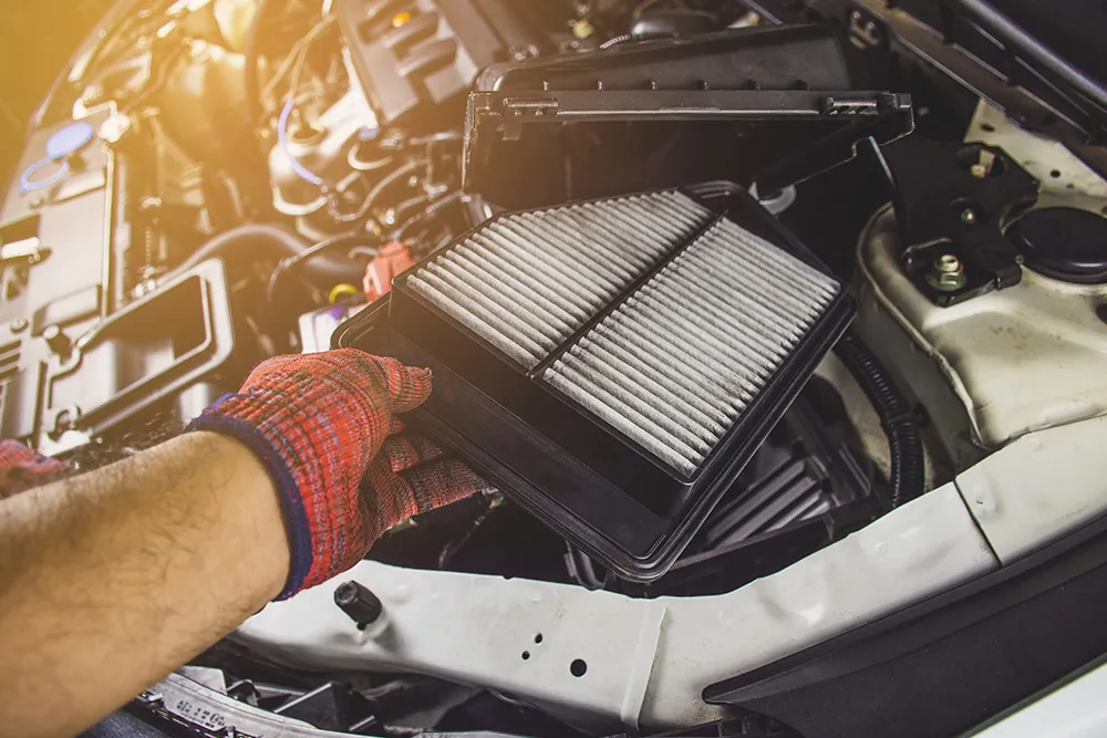 The Filter Factor: Enhancing Performance and Efficiency